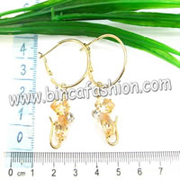 Zircon earrings